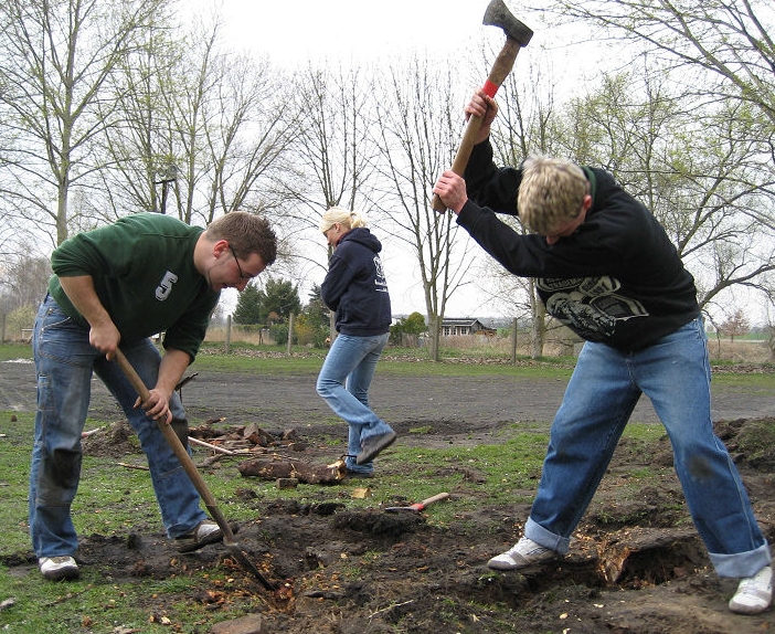 FB 08 Arbeitseinsatz II